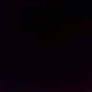 Meet your Posher, Janice